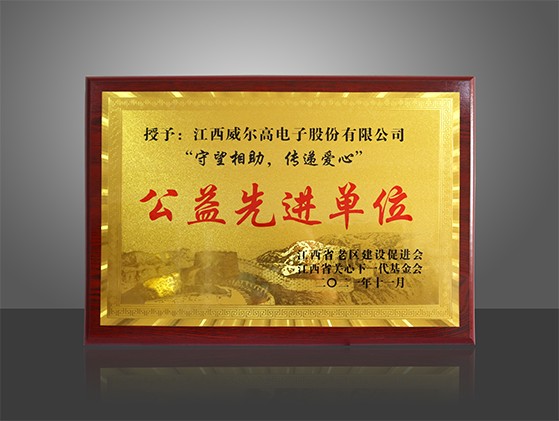 公益先进单位.png