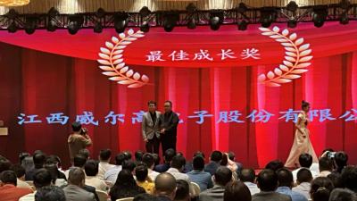 喜报 | 威尔高荣获长城电源“2023年最佳成长奖”！