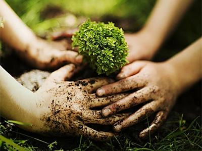 威尔高2025植树节｜播种未来，共筑绿色企业力！